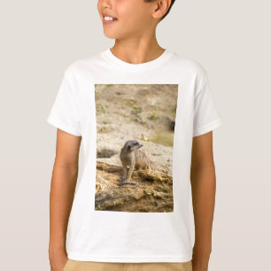 Camiseta Meerkat