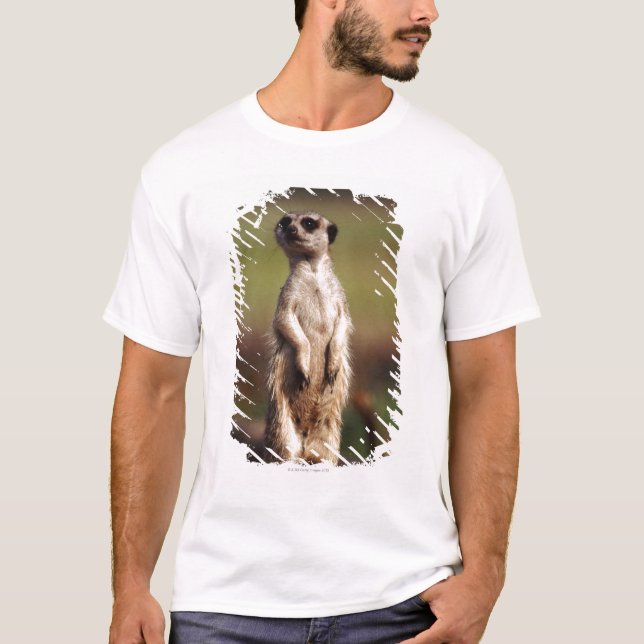 Camiseta meerkat delgado-atado (Anverso)