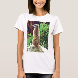 Camiseta Meerkat dulce