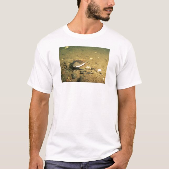 Camiseta Mejillón de agua dulce (Anverso)