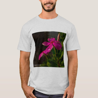 Camiseta mejor