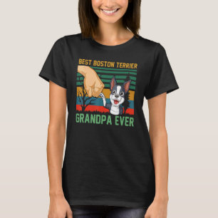Camiseta Mejor Abuelo Territorial de Boston jamás Retro Vin