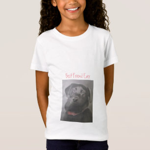 Camiseta Mejor Amigo De Labrador Recuperador