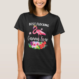 Camiseta Mejor Fanático de Gamma de Filamingo