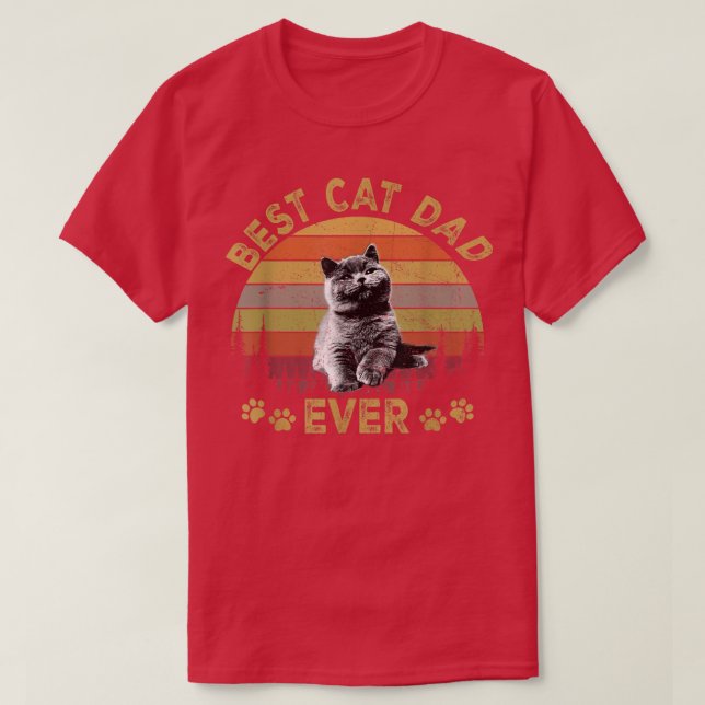 Camiseta Mejor Papá Gato Cada Día Gracioso Papá Gato Día 20 (Diseño del anverso)