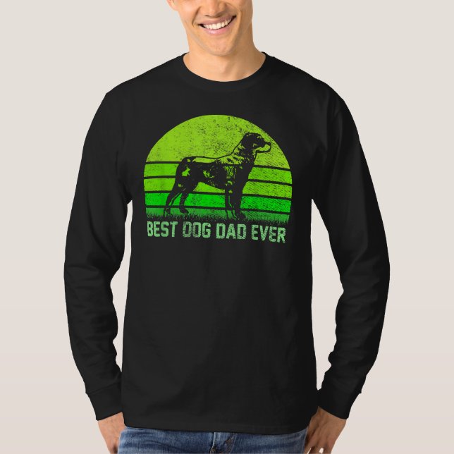Camiseta Mejor Rottweiler Dog Dad Ever Silhouette Sunset (Anverso)