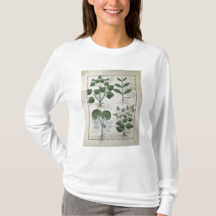 Camiseta Melcocha y Hastula Regia Asarabacca y
