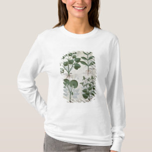 Camiseta Melcocha y Hastula Regia Asarabacca y