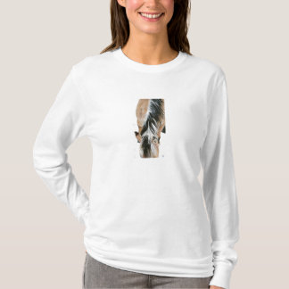 Camiseta Melena noruega del fiordo