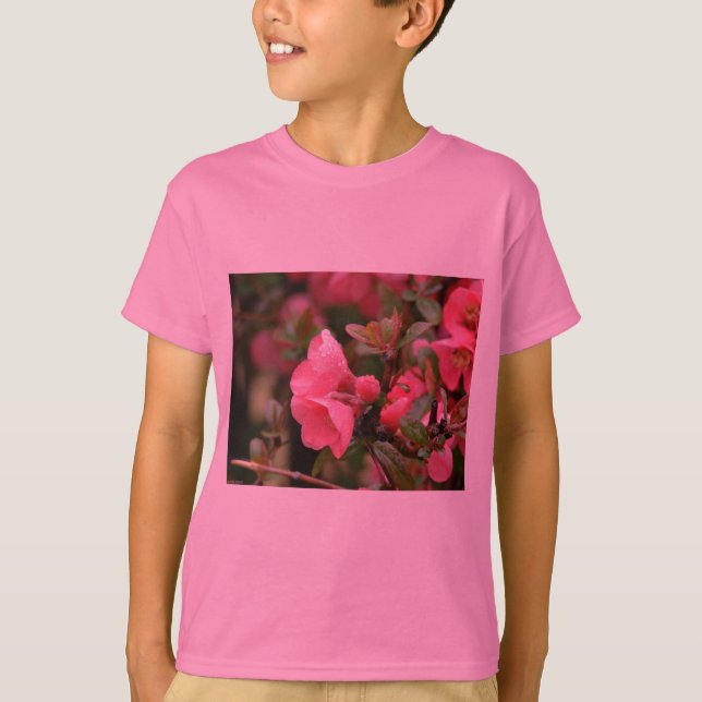 Camiseta Membrillo de floración rosa de primavera (Anverso)