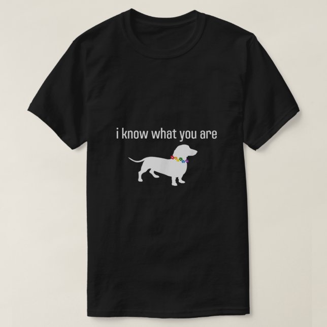 Camiseta Meme De Cita Graciosa Que Sé Lo Que Eres Homofóbic (Diseño del anverso)