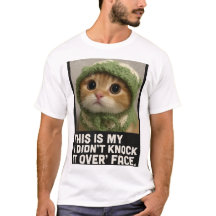 Meme de Gatito Adorable – “No lo Derribé” 