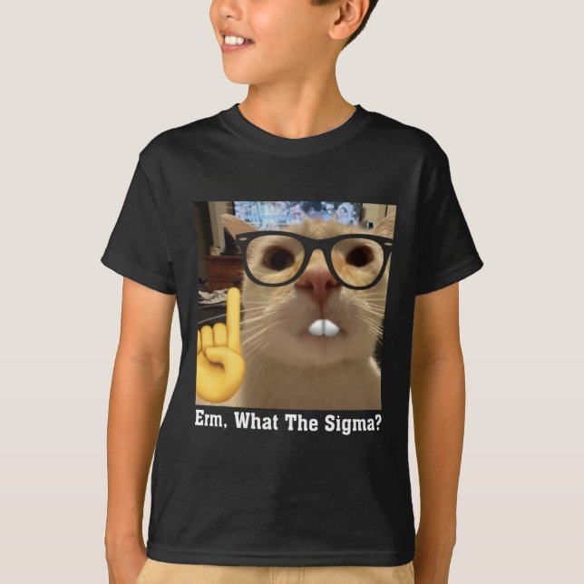 Camiseta Meme De Gato Agradable Arte Cute Kitten Erm (Anverso)