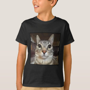 Camiseta Meme de gato de Silly Stark