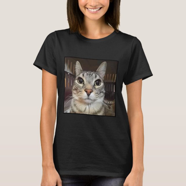 Camiseta Meme de gato de Silly Stark (Anverso)