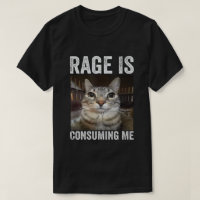 Meme de gato La ira me consume