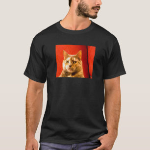 Camiseta Meme de gato sospechoso