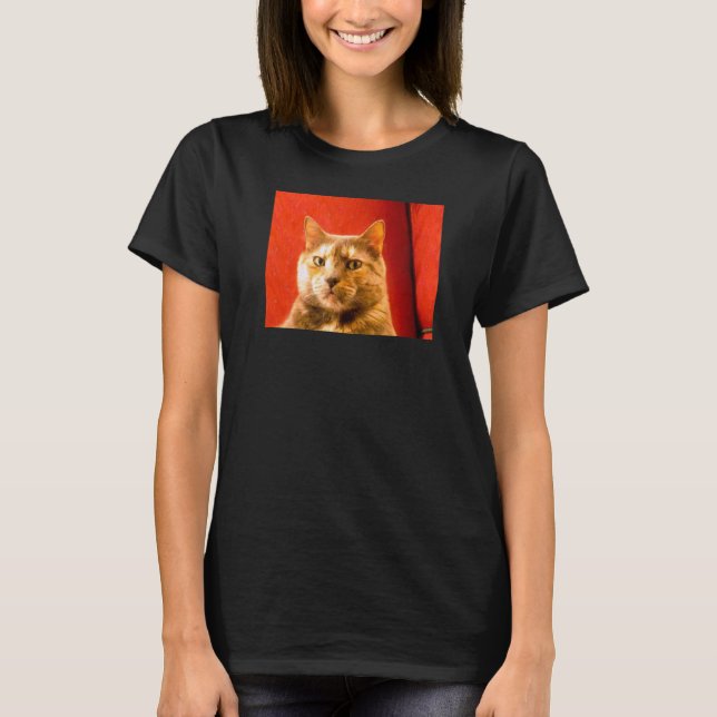Camiseta Meme de gato sospechoso (Anverso)