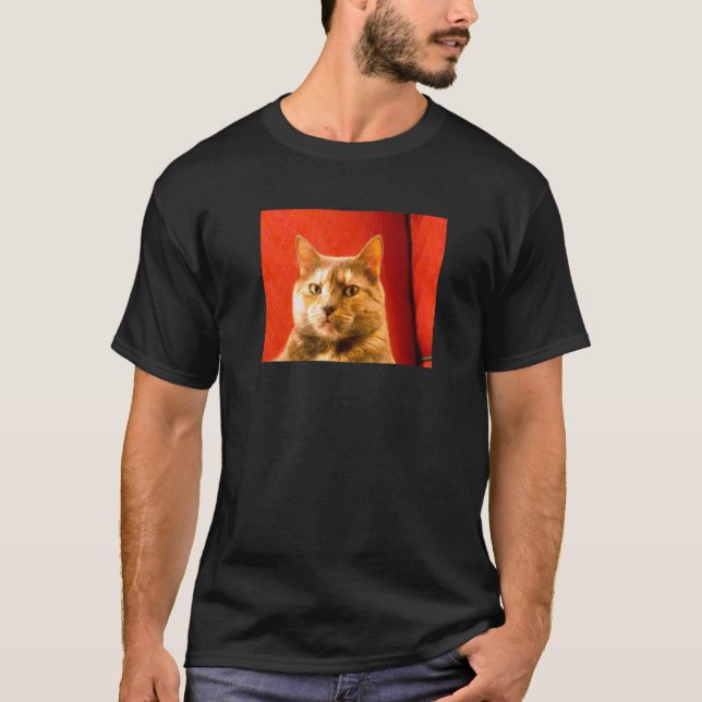 Camiseta Meme de gato sospechoso (Anverso)