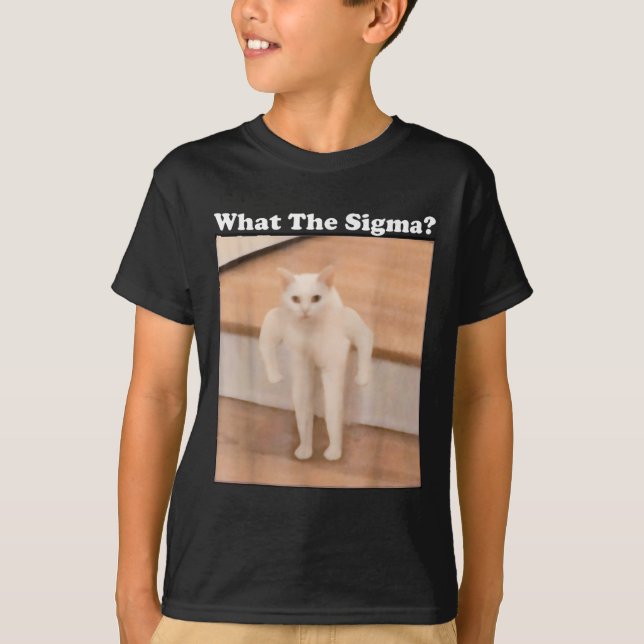 Camiseta Meme de Internet Meme Meme de Sigma Cat Memes dive (Anverso)