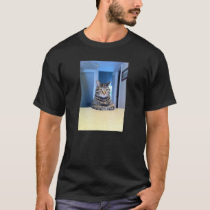 Camiseta Meme Toma Un Asiento Gato Meme