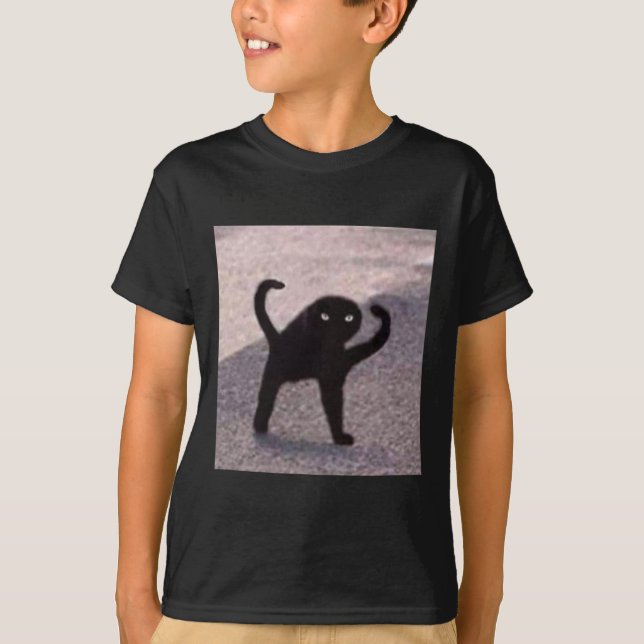 Camiseta Memes De Gato Malditos Maldicen A Gato Enfadado Co (Anverso)