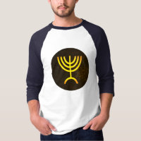 Menorah Flame