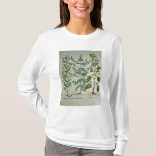 Camiseta Menta: Crispa del Mentha