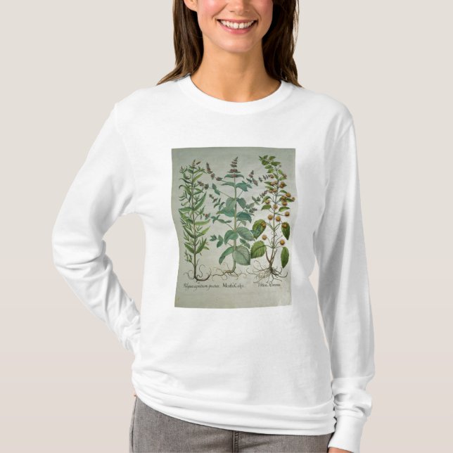 Camiseta Menta: Crispa del Mentha (Anverso)