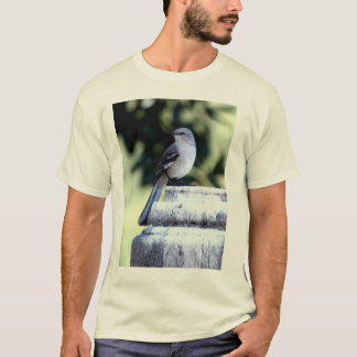 Camiseta meridional del Mockingbird