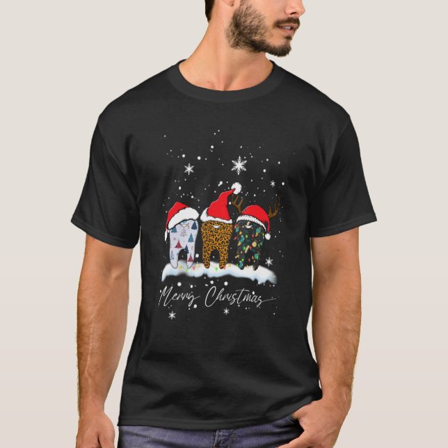 Camiseta Merry Christmas Dentist Teeth Santa Hat Plaid Dent (Anverso)