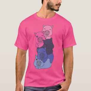 Camiseta Mes De Orgullo De Bandera Omnisexual Lgbtq Capyb O