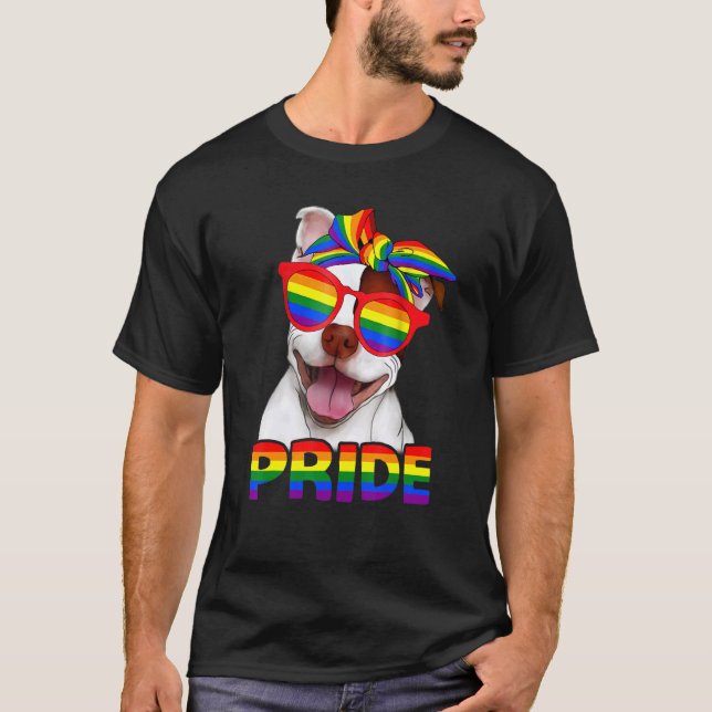 Camiseta Mes del Orgullo Gay Rainbow Lgbt (Anverso)