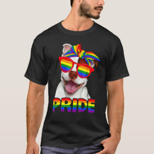 Camiseta Mes del Orgullo Gay Rainbow Lgbt