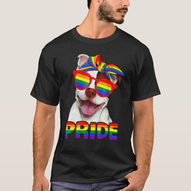 Camiseta Mes del Orgullo Gay Rainbow Lgbt (Anverso)
