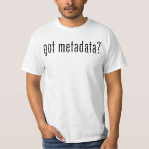 Camiseta ¿meta datos conseguidos? <gmi:MI_Metadata>¿?