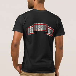Camiseta metalizado "PROFESIONAL DE LARGA GAMA"