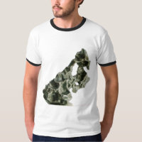 Meteorito de Sikhote-Alin