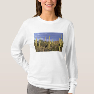 Camiseta México, Baja del Norte, Catavina Desert National 2