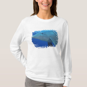 Camiseta México, Cozumel. Delfín mular, Tursiops 4