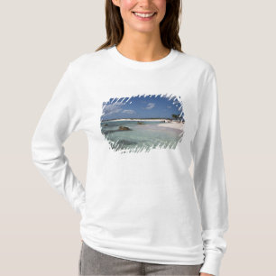 Camiseta México, Cozumel, Punta Morena, la costa este