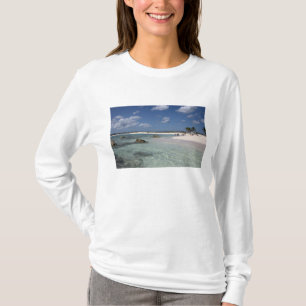 Camiseta México, Cozumel, Punta Morena, la costa este