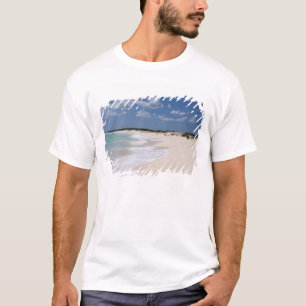 Camiseta México, Cozumel, Punta Morena, la costa este de
