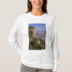 Camiseta México, Estado de Chihuahua, Cañón de Cobre. ES
