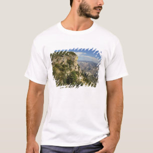 Camiseta México, Estado de Chihuahua, Cañón de Cobre. ES