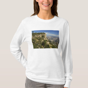 Camiseta México, Estado de Chihuahua, Copper Canyon. ESTO