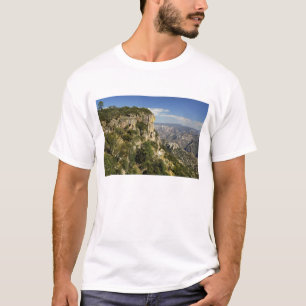 Camiseta México, Estado de Chihuahua, Copper Canyon. ESTO