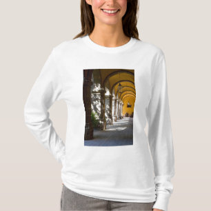 Camiseta México, estado de Guanajuato, San Miguel de Allend