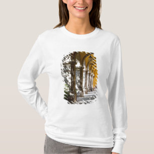 Camiseta México, estado de Guanajuato, San Miguel de Allend