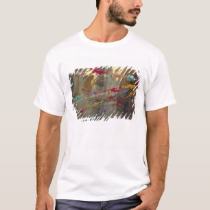 Camiseta México, Oaxaca, Templo de San Felipe de Neri